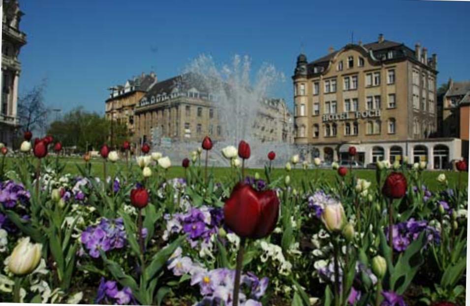 La Saint Louis * Metz